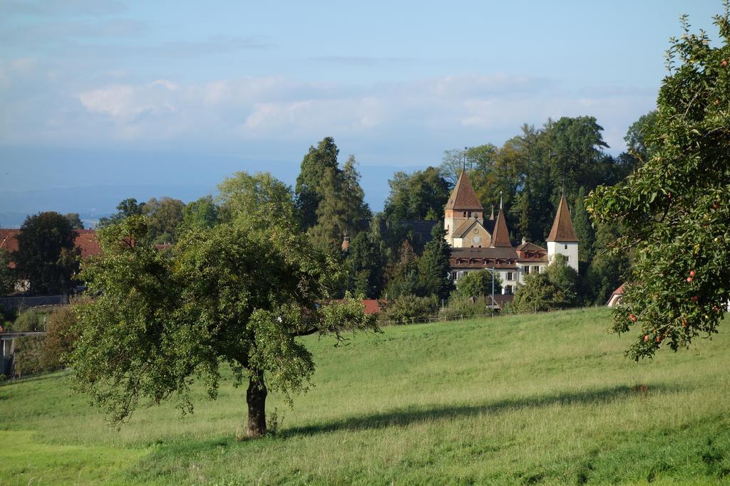 Schloss Muenchenwiler Murten Exterior photo